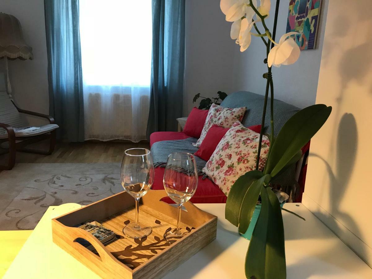 Comfy Apartment Сигишоара Экстерьер фото